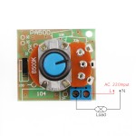 100W Adjustable SCR AC 220V Voltage Regulator Lamp Dimmer Fan Speed Controller with Switch